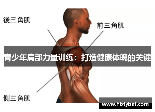 青少年肩部力量训练：打造健康体魄的关键